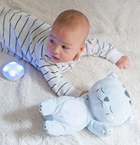 Fathers inventors create successful business